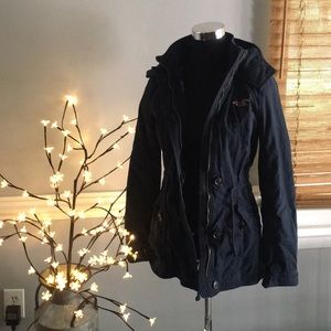 Hollister blue coat